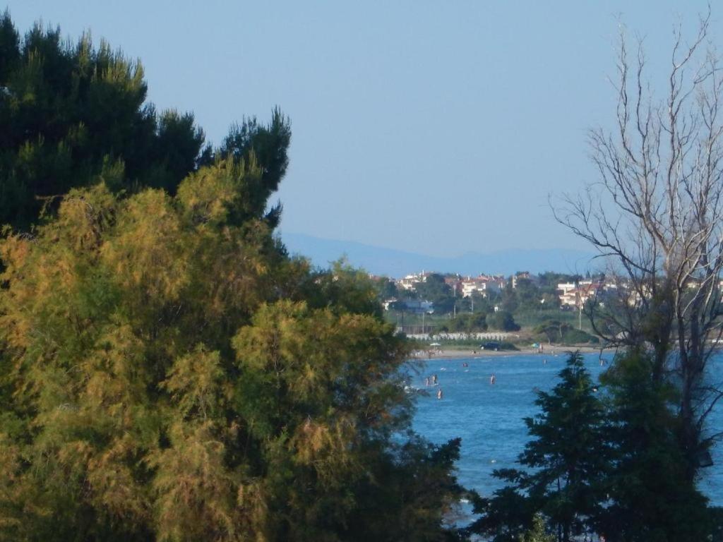 Aegean sea apartments Artemida  Exterior foto